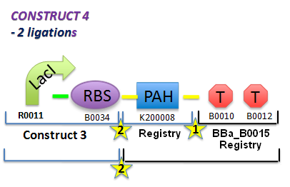 File:II09 ConstM1bbbnew.jpg