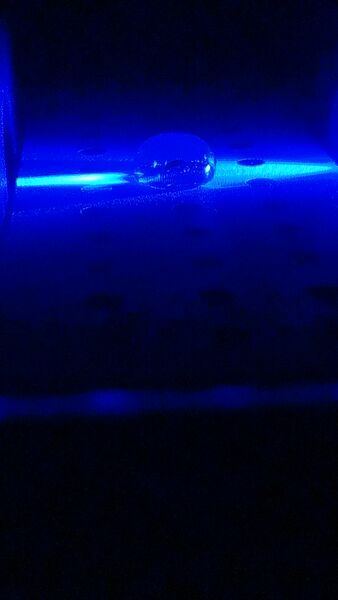 File:SYBR Green and Water.jpg