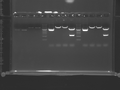 Thumbnail for version as of 16:14, 28 September 2012