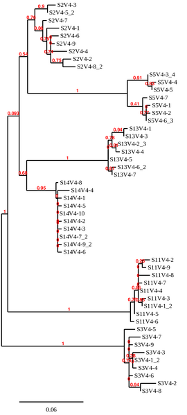 File:Phylo tree visit 4 all sequences.png
