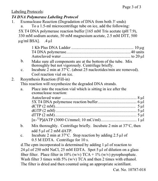 File:DNA-Ladder-4.png
