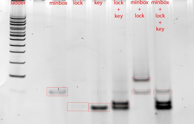 File:Labeled minboxnew copy.jpg