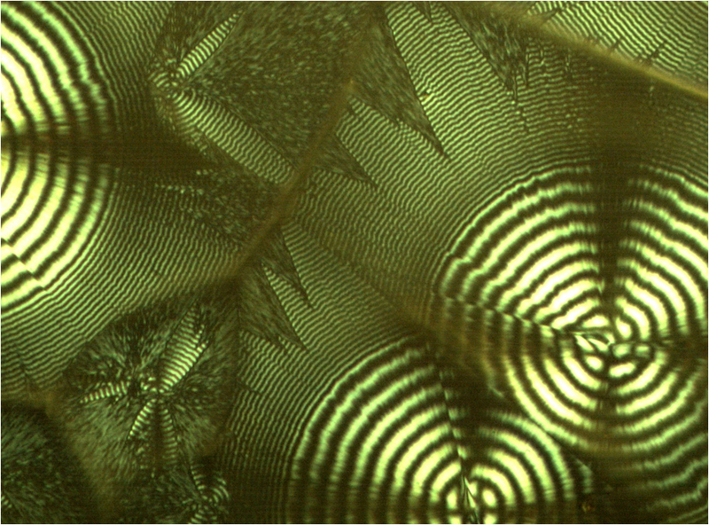 File:Polymer spherulites.png