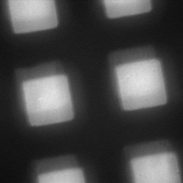 File:50 micrometer squares 40x air.jpg