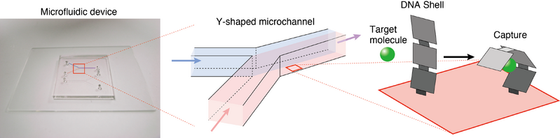 File:Biomod-2012-UTokyo-UT-Hongo Microfluidics.jpg