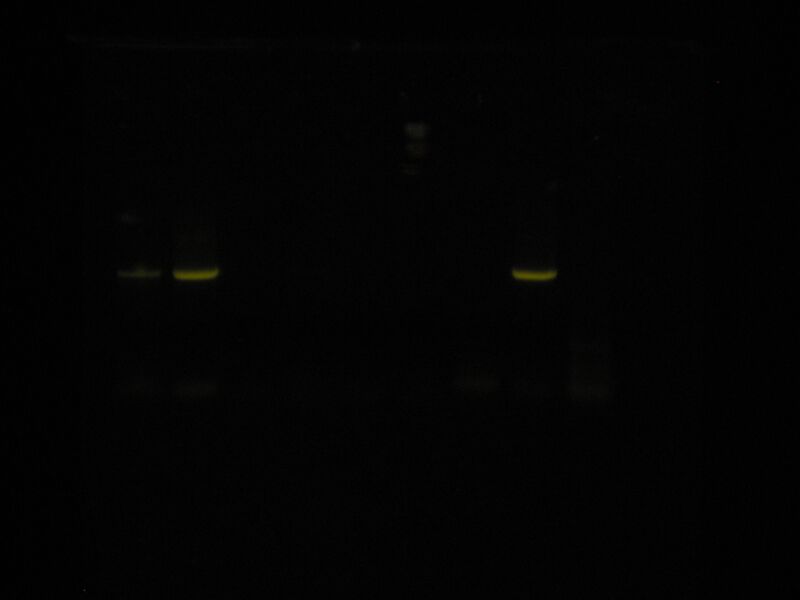 File:Capture 00035 1.jpg