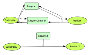 Simple Enzymatic Reaction