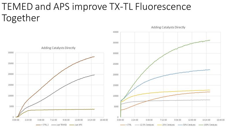 Cell Free expression with added TEMED and APS