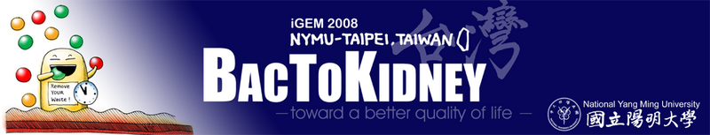 File:NYMU Banner-wider 965px.png