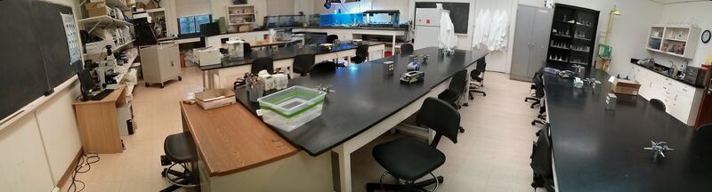 File:PANO 20140110 130356.jpg