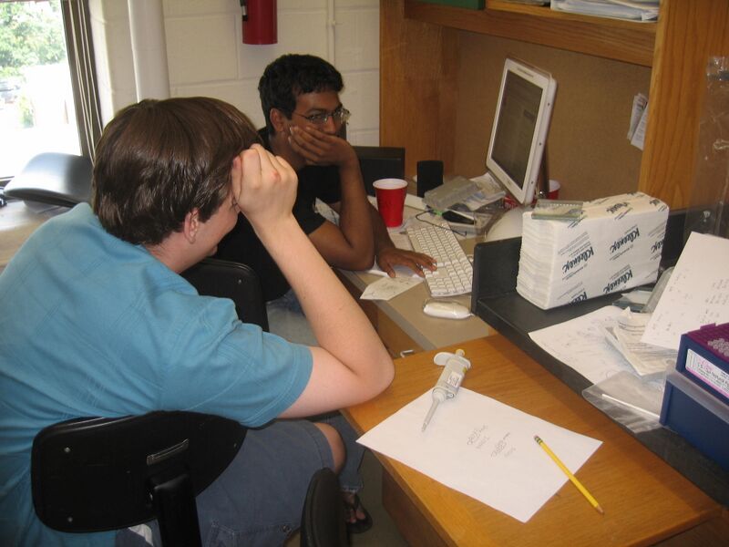 File:Week6-2.jpg