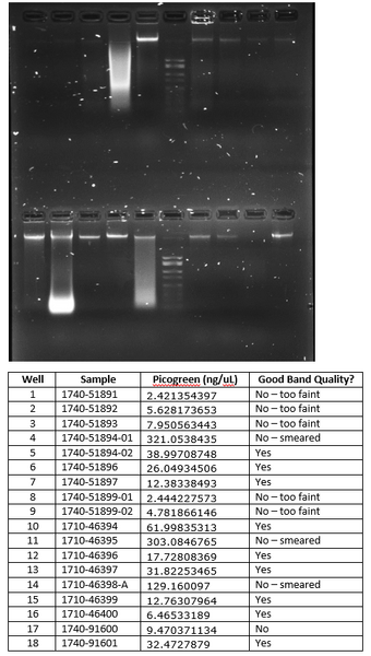 File:Wifl nau 72315 1.png