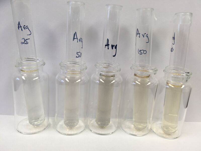 File:01112017 photo AuNP Arginine.jpg