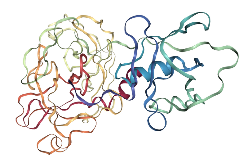 File:TMPRSS2 HHpred Protein.png