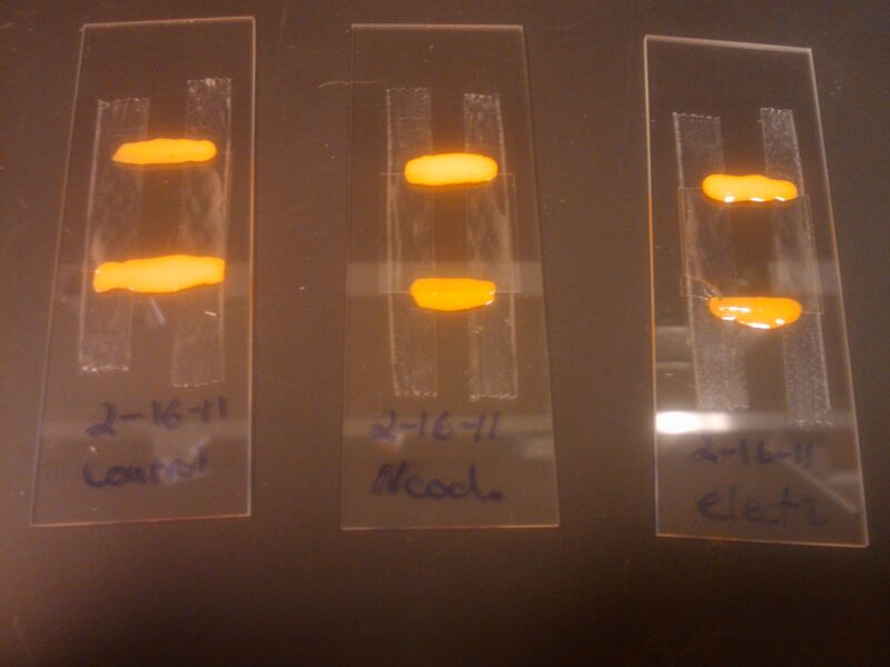 File:2011-02-17 11.23.02.jpg