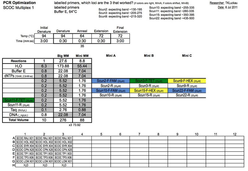 File:20110706 PCR.jpg