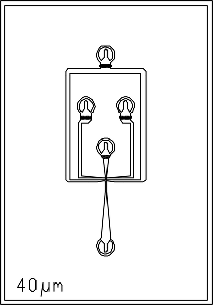 File:40um 4 inlets.png
