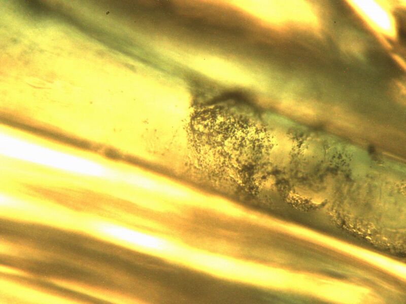 File:Bforce myo 10x3.jpg