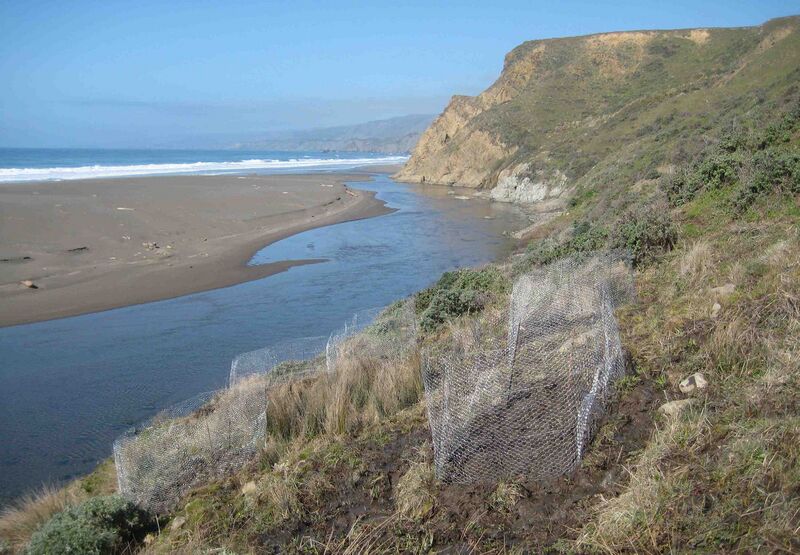 File:Coast lowry.jpg