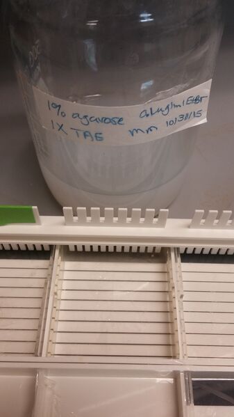 File:Gel Container.jpg