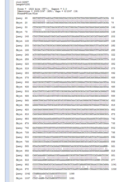 File:Seq2 TR RED.png