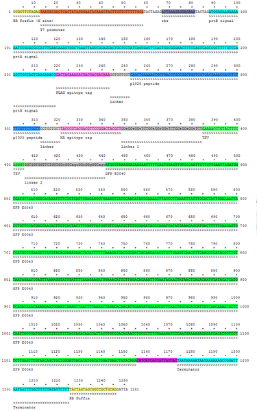 File:Whole sequence.png