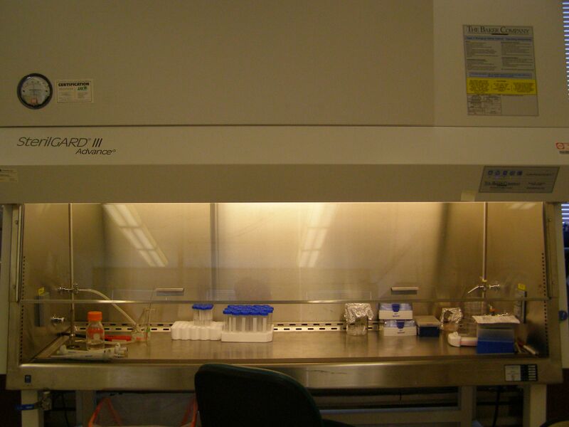 File:CASTLab bHood.JPG