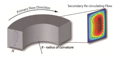 Figure 5. Curved Channel Dean's Flow [2]