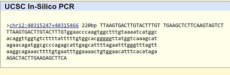 File:Forward Primer.jpg