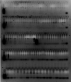Thumbnail for version as of 19:50, 18 June 2012