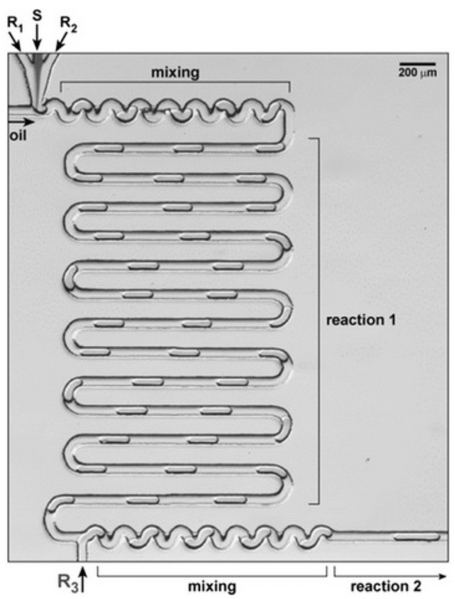 File:Recirculating Reactor.png