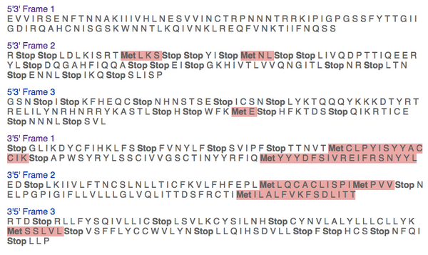 'Subject 15, visit 4, subject 3, open reading frames