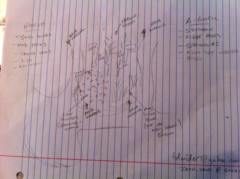 File:Transect Salas.JPG