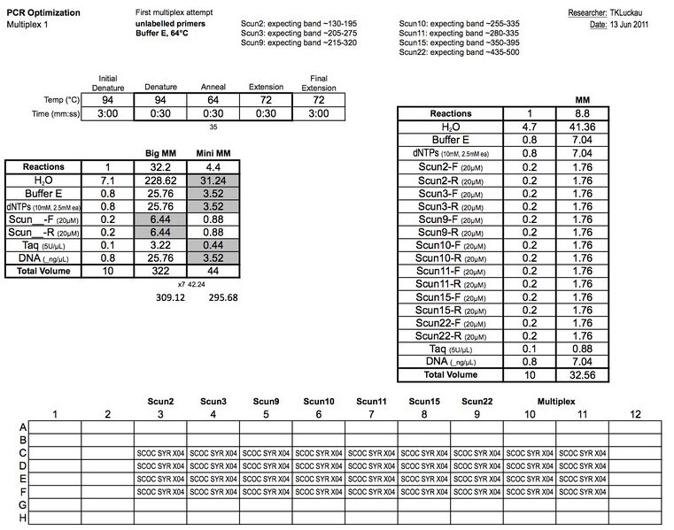 File:20110613 PCR.jpg