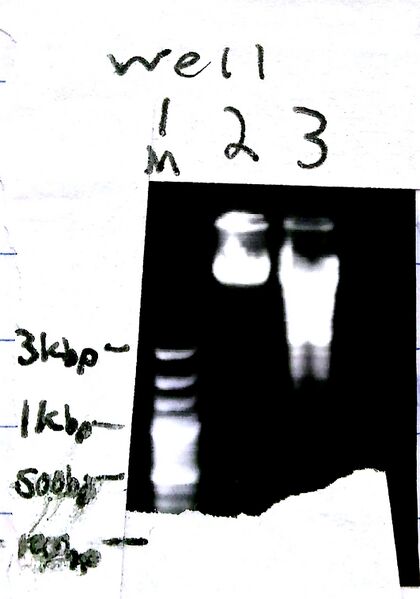 File:2012-09-27 16-23-27 929.jpg