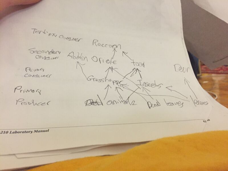 File:BME103 Group3 Cassoral.jpg