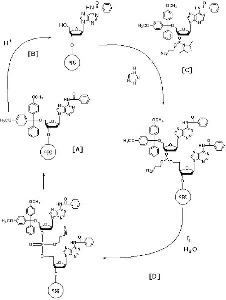 File:Be109synthesis.jpg