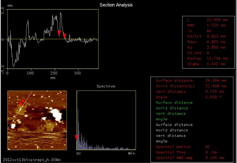 File:Biomod-2012-UToky​o-UT-Hongo-AFM closeSA analysis8.jpg
