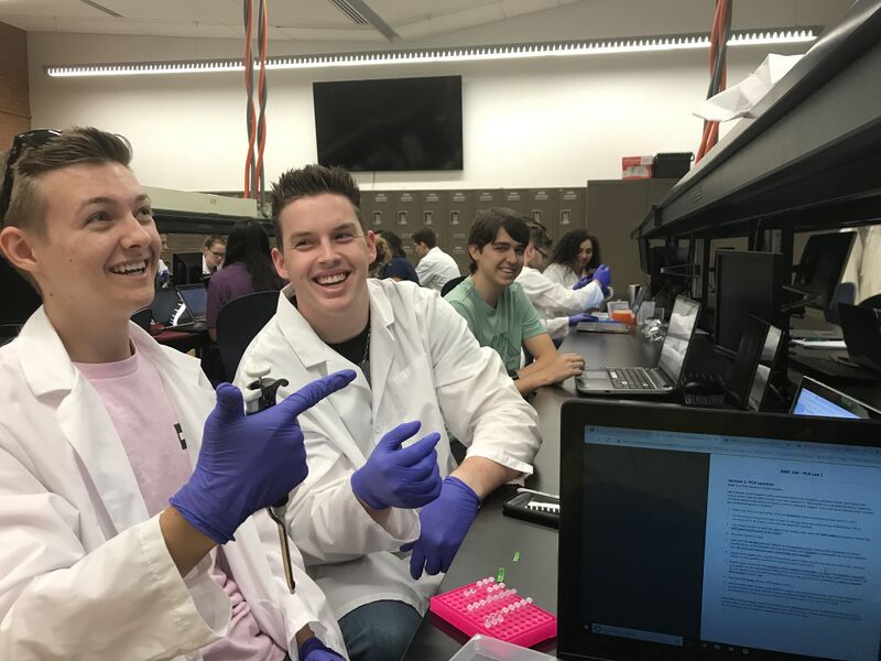 File:G5 L5Micropipetting.jpg