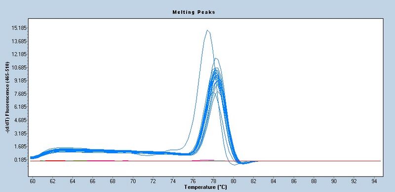 File:S12 M3D5 WF CNI-melt.jpg