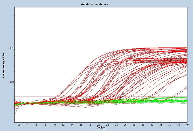 File:S14 M3D5 WF noiseband.jpg