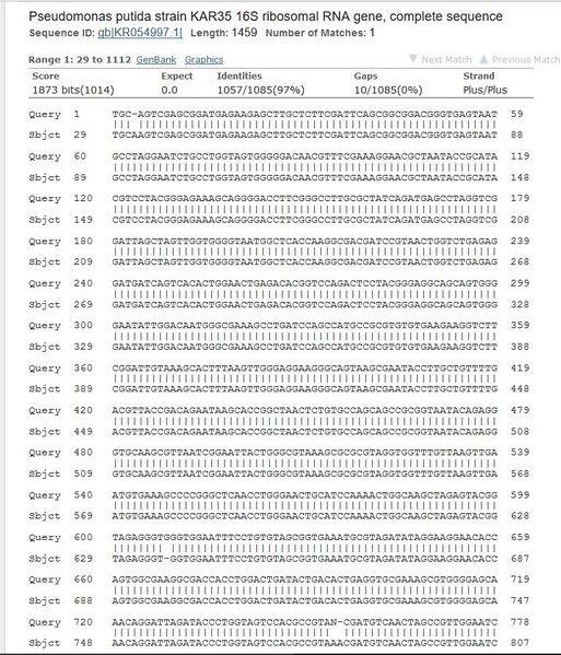 File:Tan Colonie Results.jpg