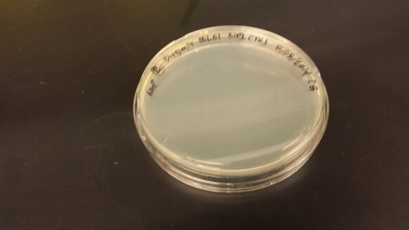 File:20140516 094251.jpg