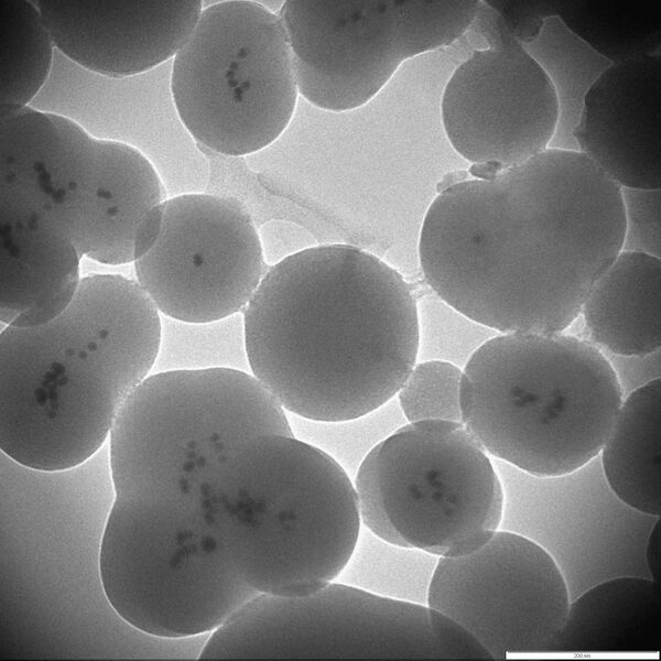 File:5microliter 1.jpg