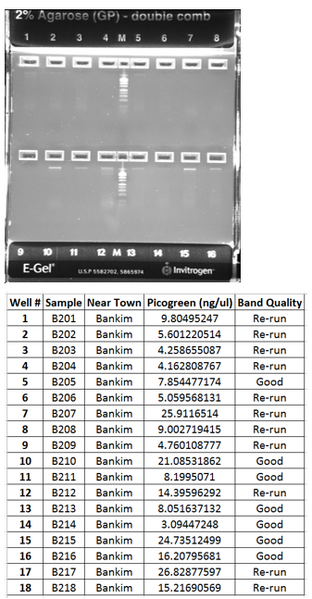 File:Butterfly Bankim 201-218.PNG
