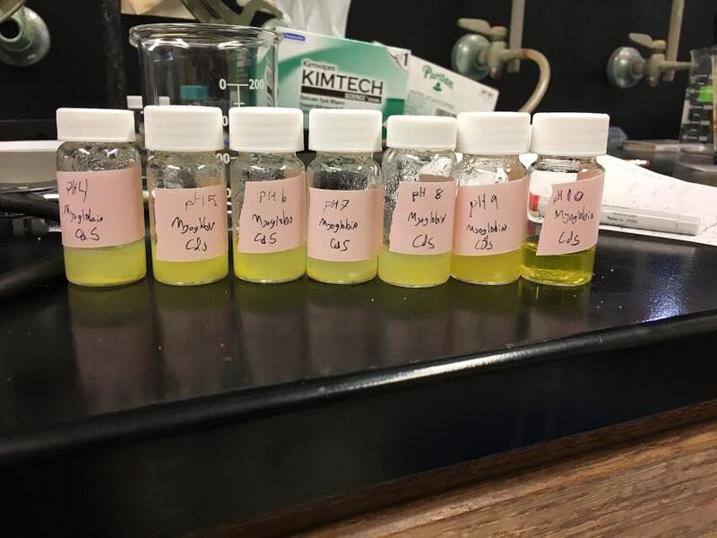 File:CdS quantum dots after 7 days.jpg
