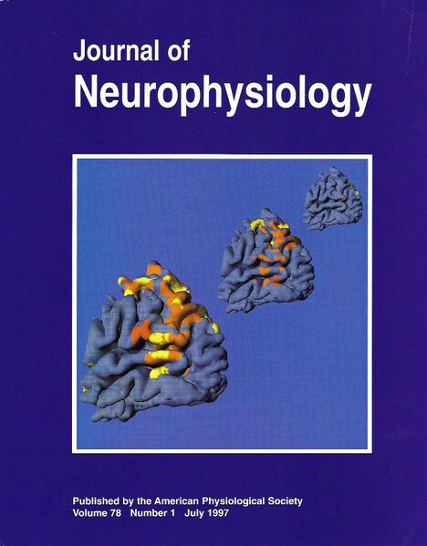 File:JNeurophysCover.jpeg