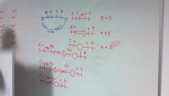 Assembly strategy (pre-cut)