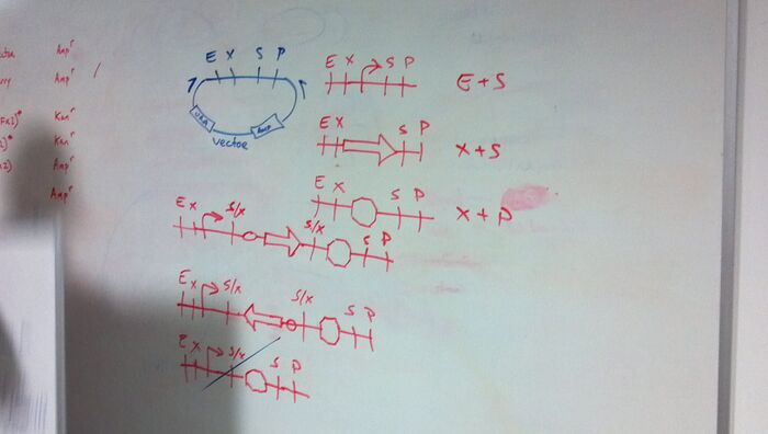 Assembly strategy (pre-cut)