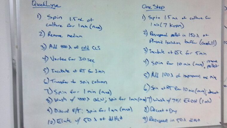 QuickLyse and One-Step miniprep protocols